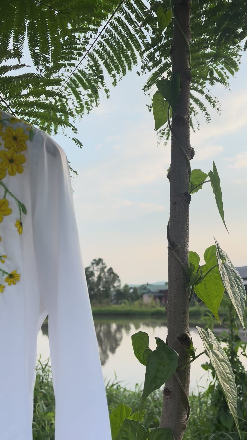 Amaltas Cascade